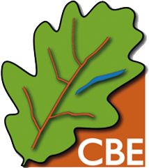 cbe